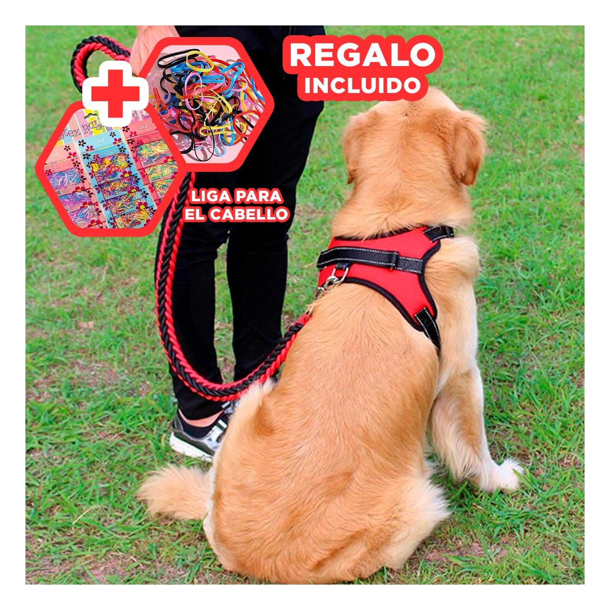 SUJETADOR EN H PARA MASCOTA TALLA M CON AJUSTE PRACTICO ROJO YLIGAS REGALO - 2