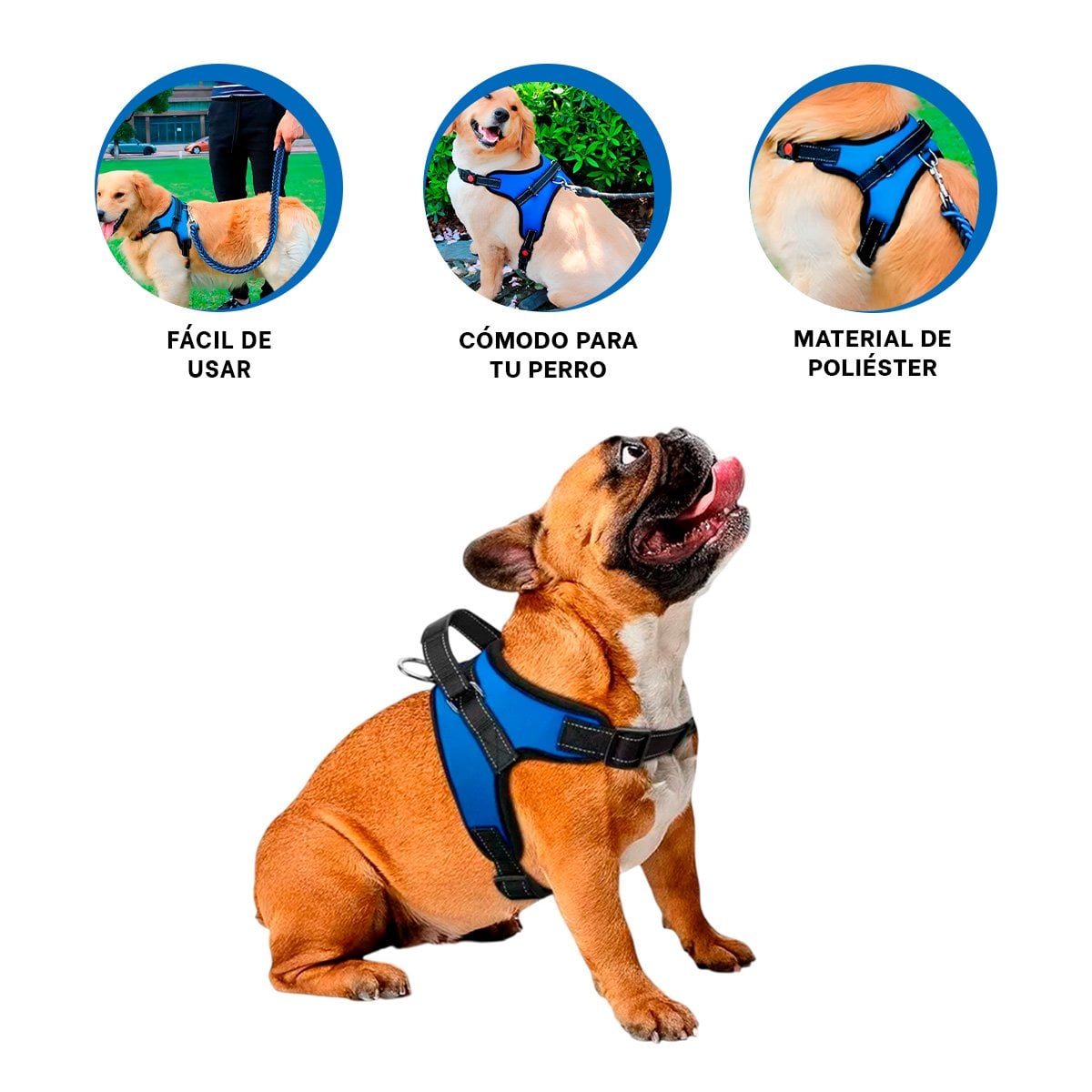 EQUIPO EN H DE PASEO PARA PERRO TALLA M COMODO Y SEGURO AZUL YSTICKY - 5