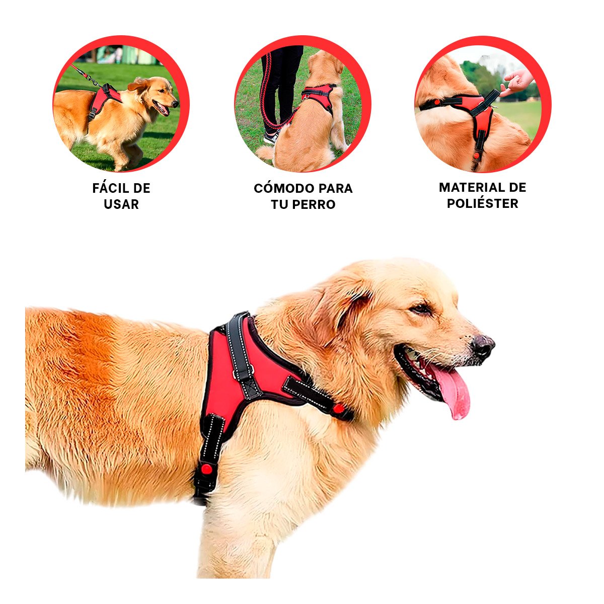 EQUIPO EN H DE PASEO PARA PERRO TALLA M COMODO Y SEGURO ROJO YSTICKY - 5