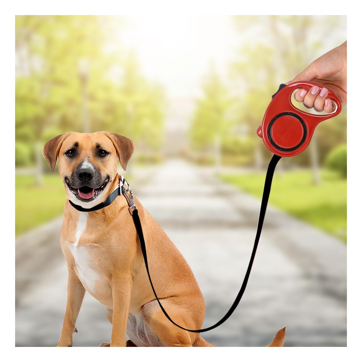 CUERDA RETRACTIL PARA MASCOTAS RESISTENTE Y SEGURA CON CIRCULO NEGRO COLOR ROJO - 3