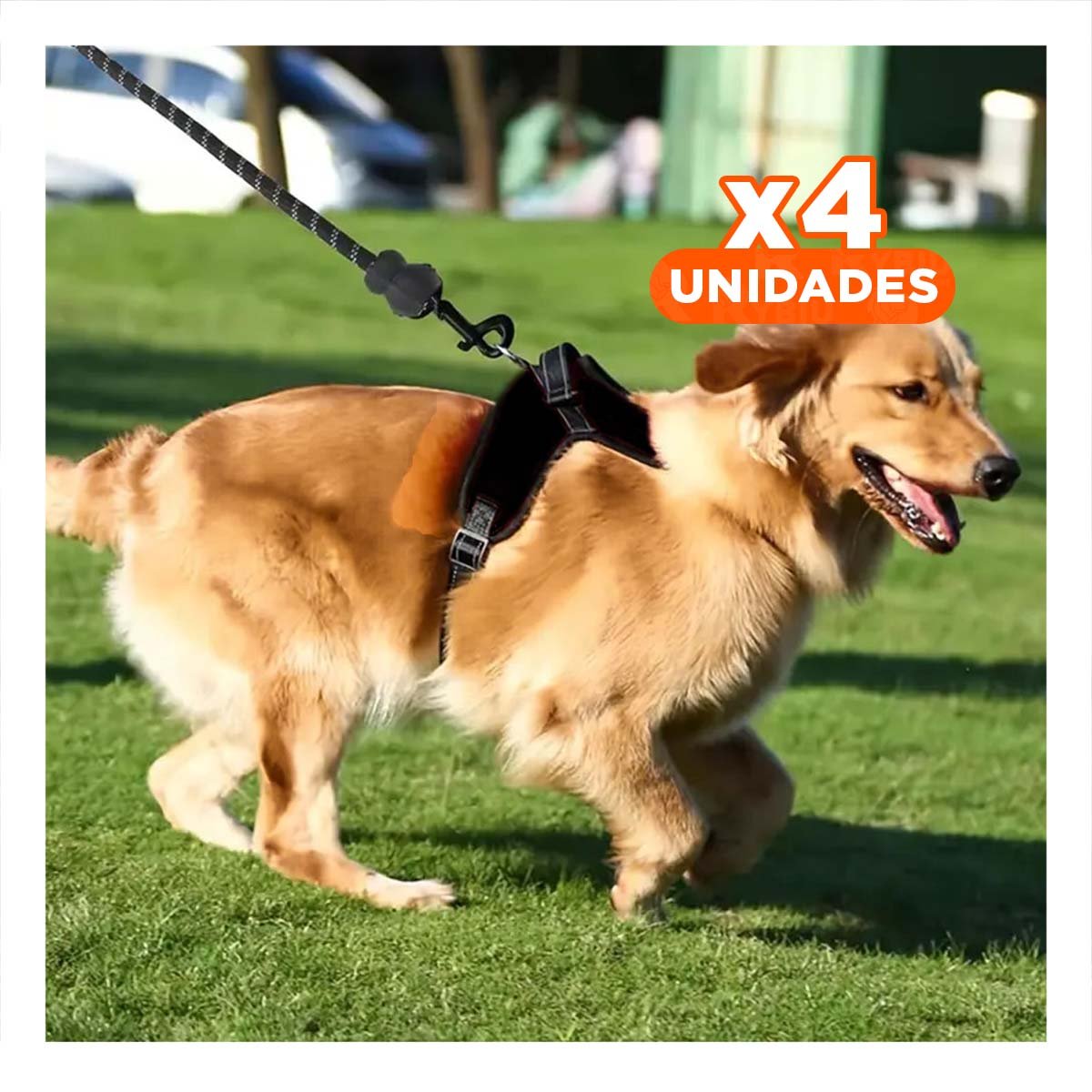 PACK4 SOPORTE CORPORAL EN H PARA MASCOTA TALLA S CON AJUSTE SEGURO NEGRO YREGALO STICKER - 1