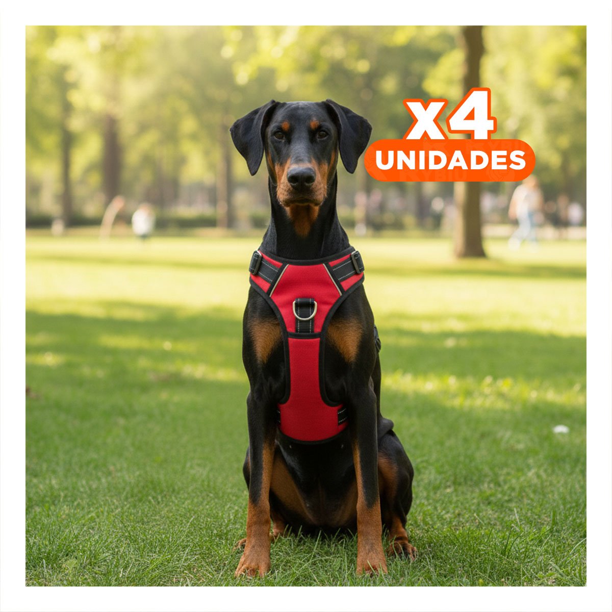 PACK4 SOPORTE CORPORAL EN H PARA MASCOTA TALLA S CON AJUSTE PRACTICO ROJO YREGALO STICKER - 1