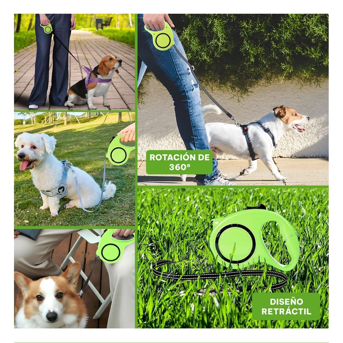 SUJETADOR RETRACTIL VERDE LIMON CON CIRCULO NEGRO PARA PERRO YLIGAS REGALO - 1