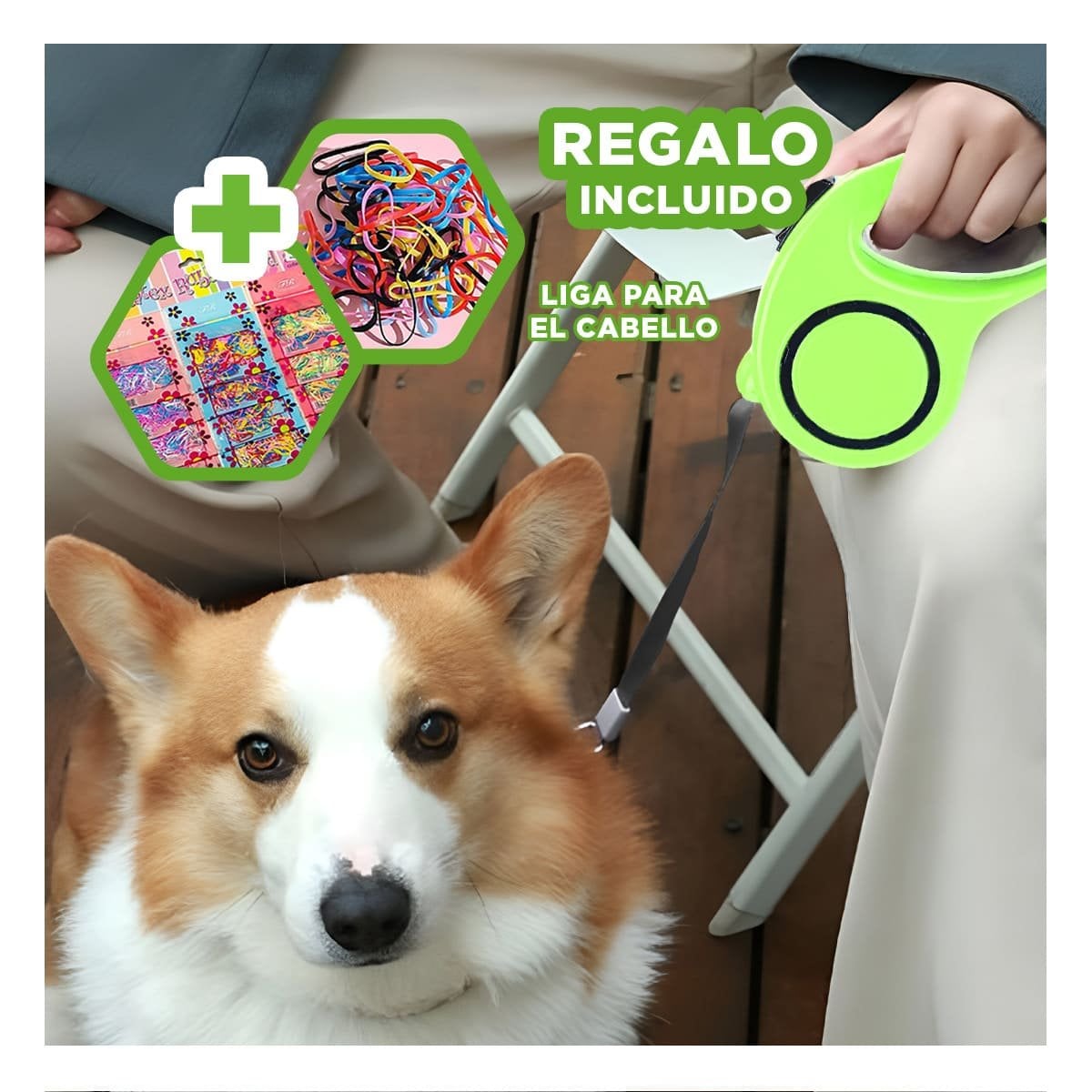 SUJETADOR RETRACTIL VERDE LIMON CON CIRCULO NEGRO PARA PERRO YLIGAS REGALO - 2