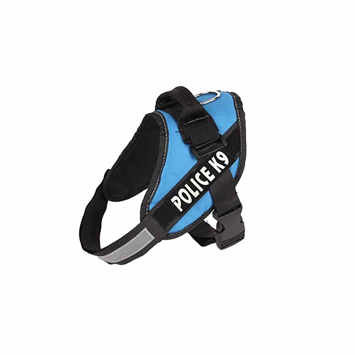 PACK2 CHALECO DE PASEO PARA PERRO TALLA M LIGERO Y AJUSTABLE CELESTE YREGALO STICKER - 2
