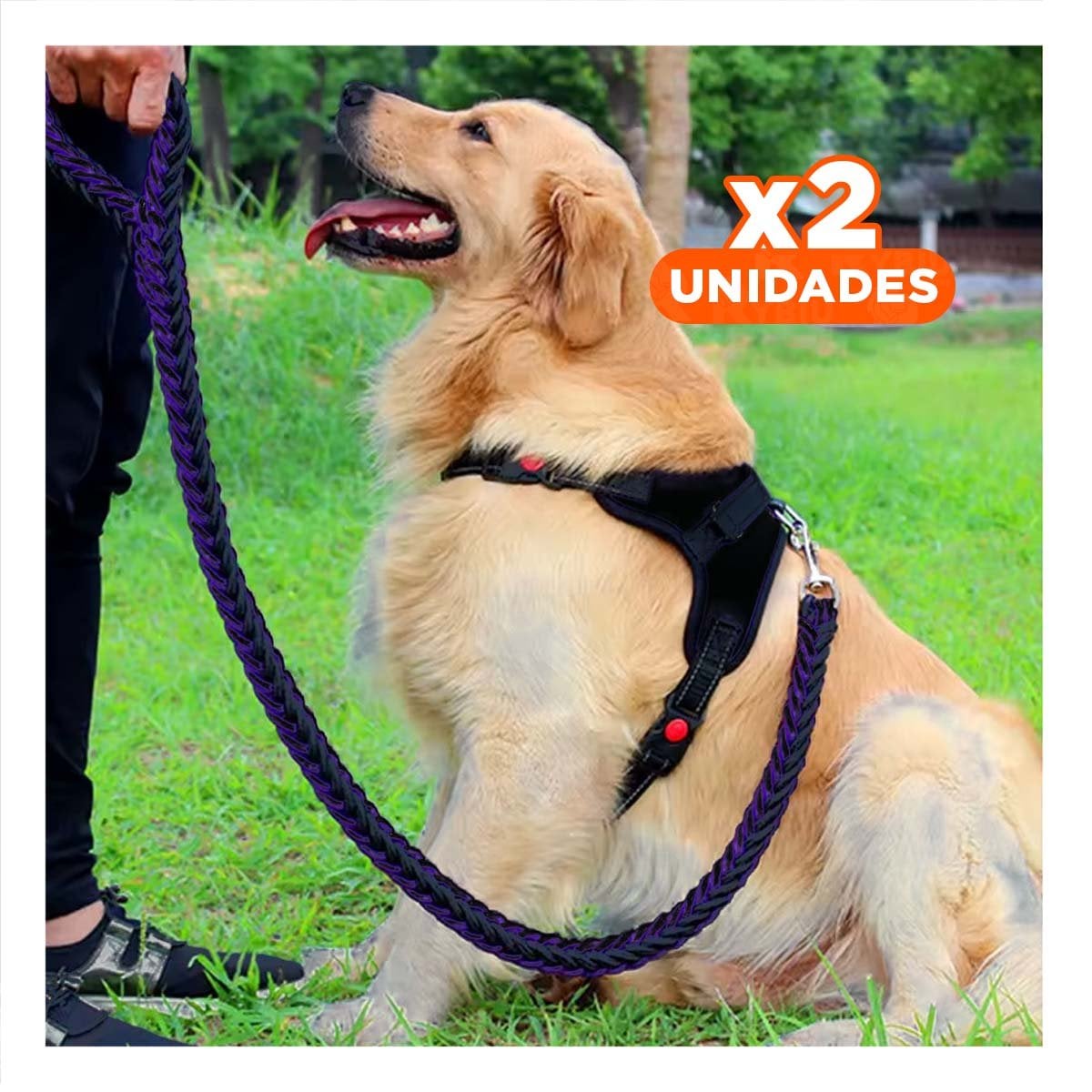 PACK2 PECHERA RESISTENTE EN H PARA MASCOTA TALLA S CON AJUSTE SEGURO NEGRO YPAPEL REGALO - 1