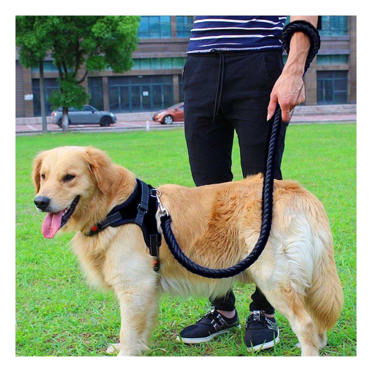 PACK2 PECHERA RESISTENTE EN H PARA MASCOTA TALLA S CON AJUSTE SEGURO NEGRO YPAPEL REGALO - 2