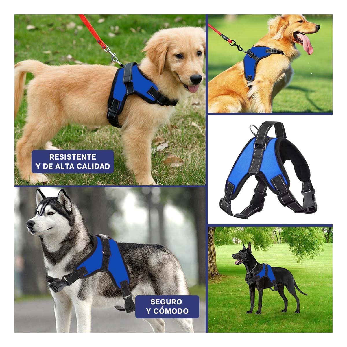 SUJETADOR EN H PARA MASCOTA TALLA S CON AJUSTE PRACTICO Y SEGURO AZUL YLIGAS REGALO - 1