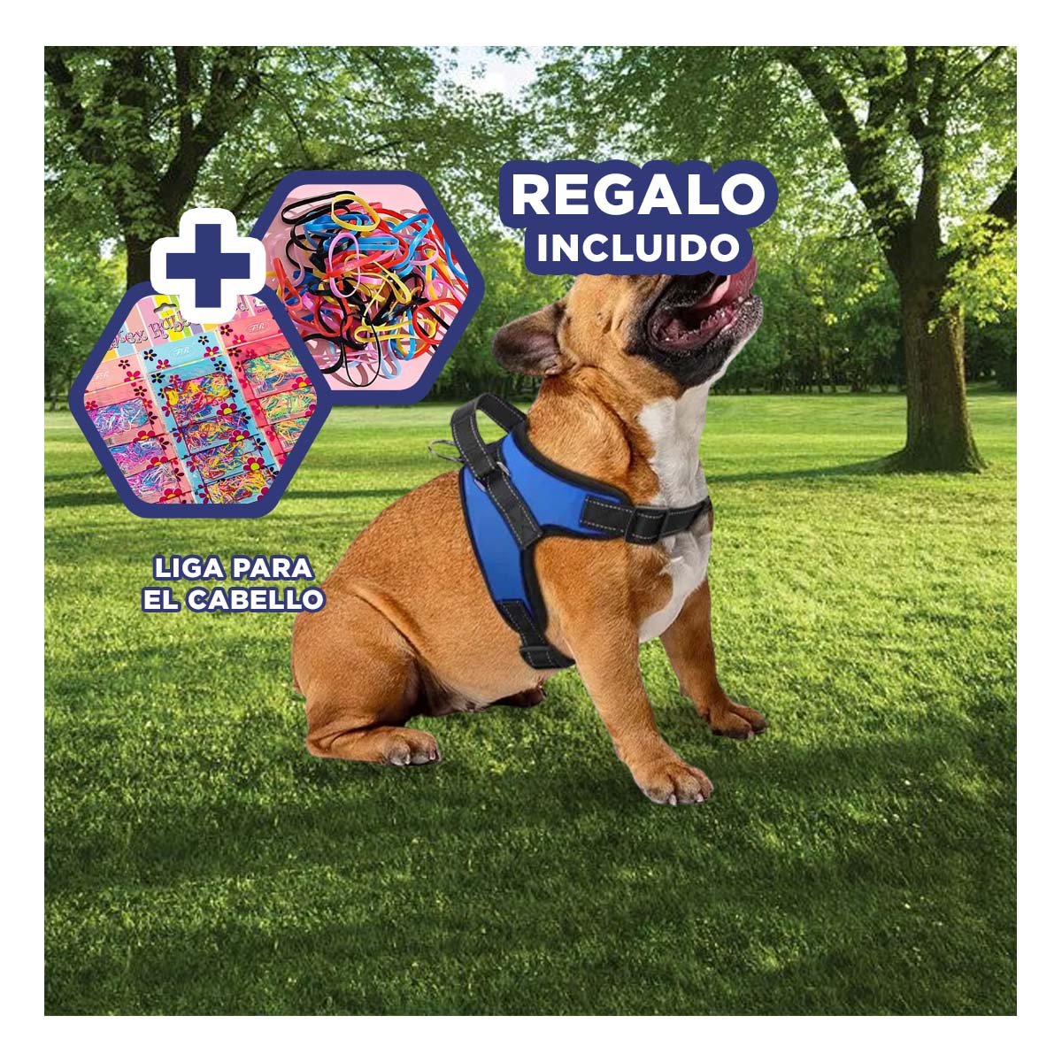 SUJETADOR EN H PARA MASCOTA TALLA S CON AJUSTE PRACTICO Y SEGURO AZUL YLIGAS REGALO - 2