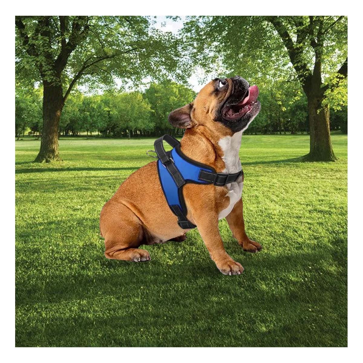 CHALECO EN H DE CONTROL PARA PERRO TALLA S CON AJUSTE SEGURO AZUL YPAPEL REGALO - 1