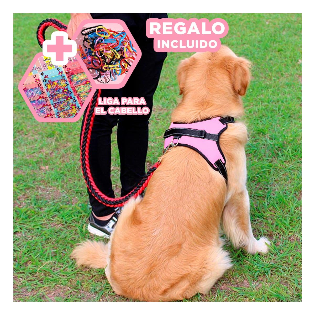 SUJETADOR EN H PARA MASCOTA TALLA S CON AJUSTE PRACTICO ROSADO YLIGAS REGALO - 2
