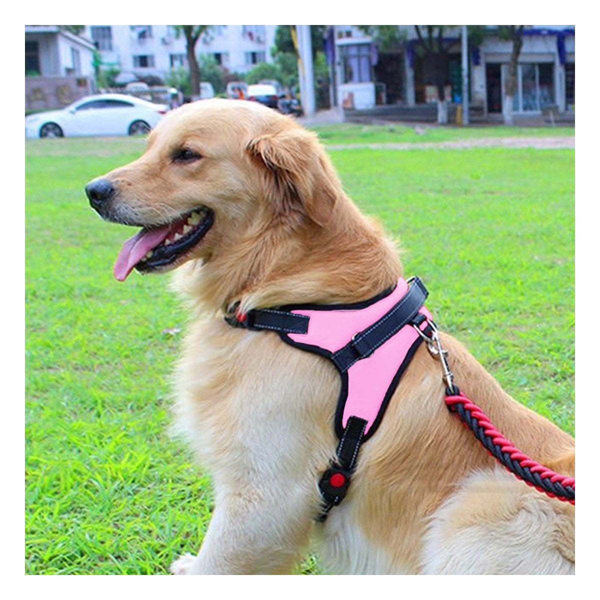SUJETADOR EN H PARA MASCOTA TALLA S CON AJUSTE PRACTICO ROSADO YLIGAS REGALO - 3