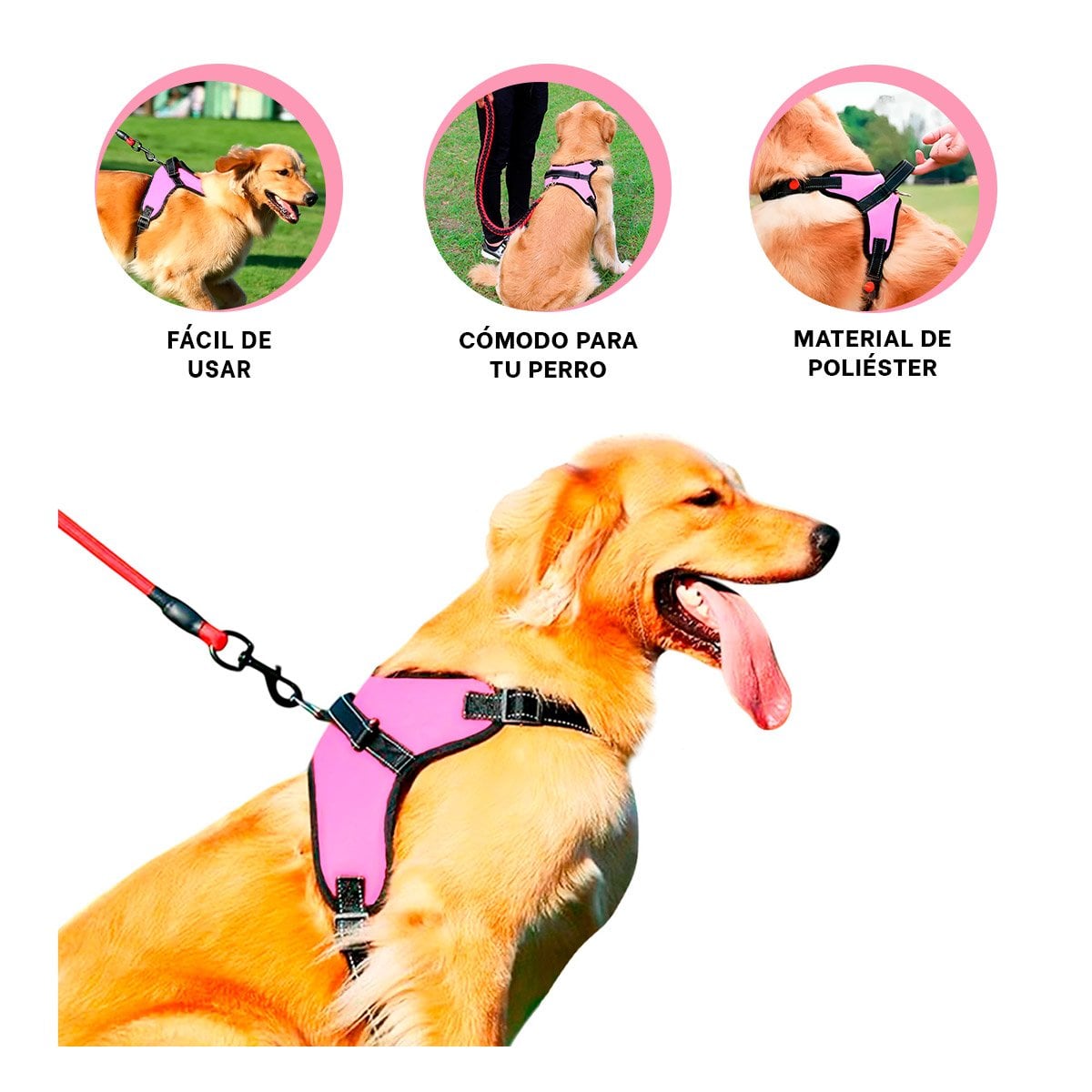 SUJETADOR EN H PARA MASCOTA TALLA S CON AJUSTE PRACTICO ROSADO YLIGAS REGALO - 5