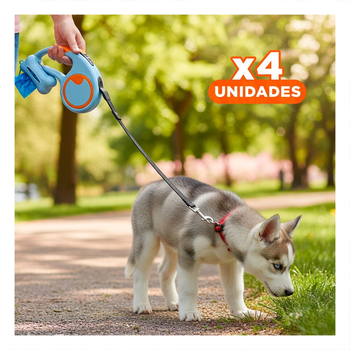 PACK4 ACCESORIO FUNCIONAL CELESTE PARA PASEO DIARIO DE PERRO CON PORTA BOLSA YREGALO STICKER - 1