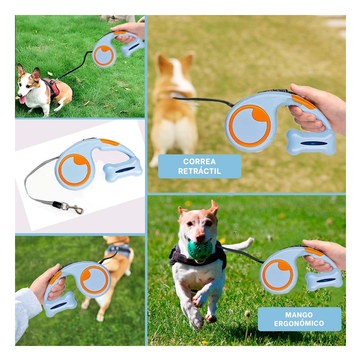 PACK4 ACCESORIO FUNCIONAL CELESTE PARA PASEO DIARIO DE PERRO CON PORTA BOLSA YREGALO STICKER - 2