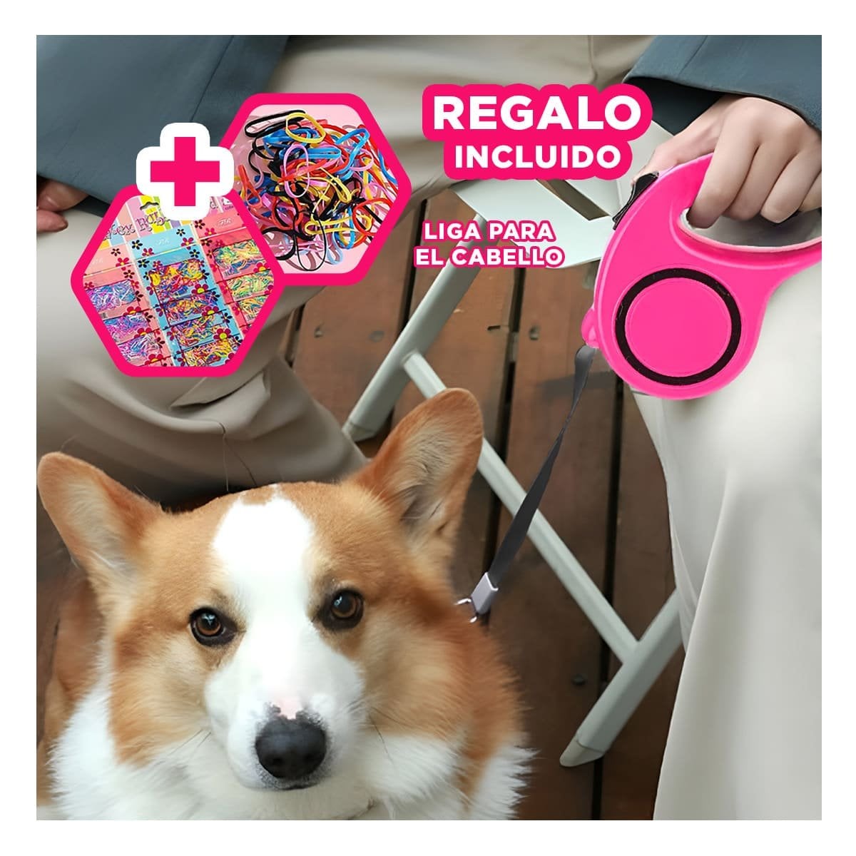 LAZO RETRACTIL FUNCIONAL PARA MASCOTAS EN EXTERIORES CON CIRCULO NEGRO FUCSIA YLIGAS REGALO - 2