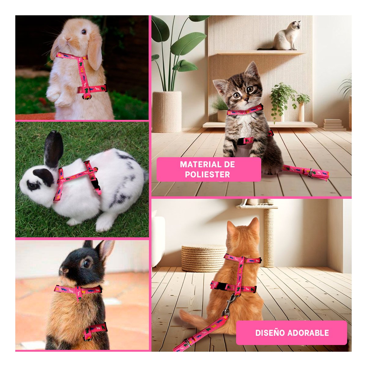 PACK4 ARTICULO SEGURO FUCSIA PARA CONEJO Y GATO DELGADO EN EXTERIOR YREGALO STICKER - 2