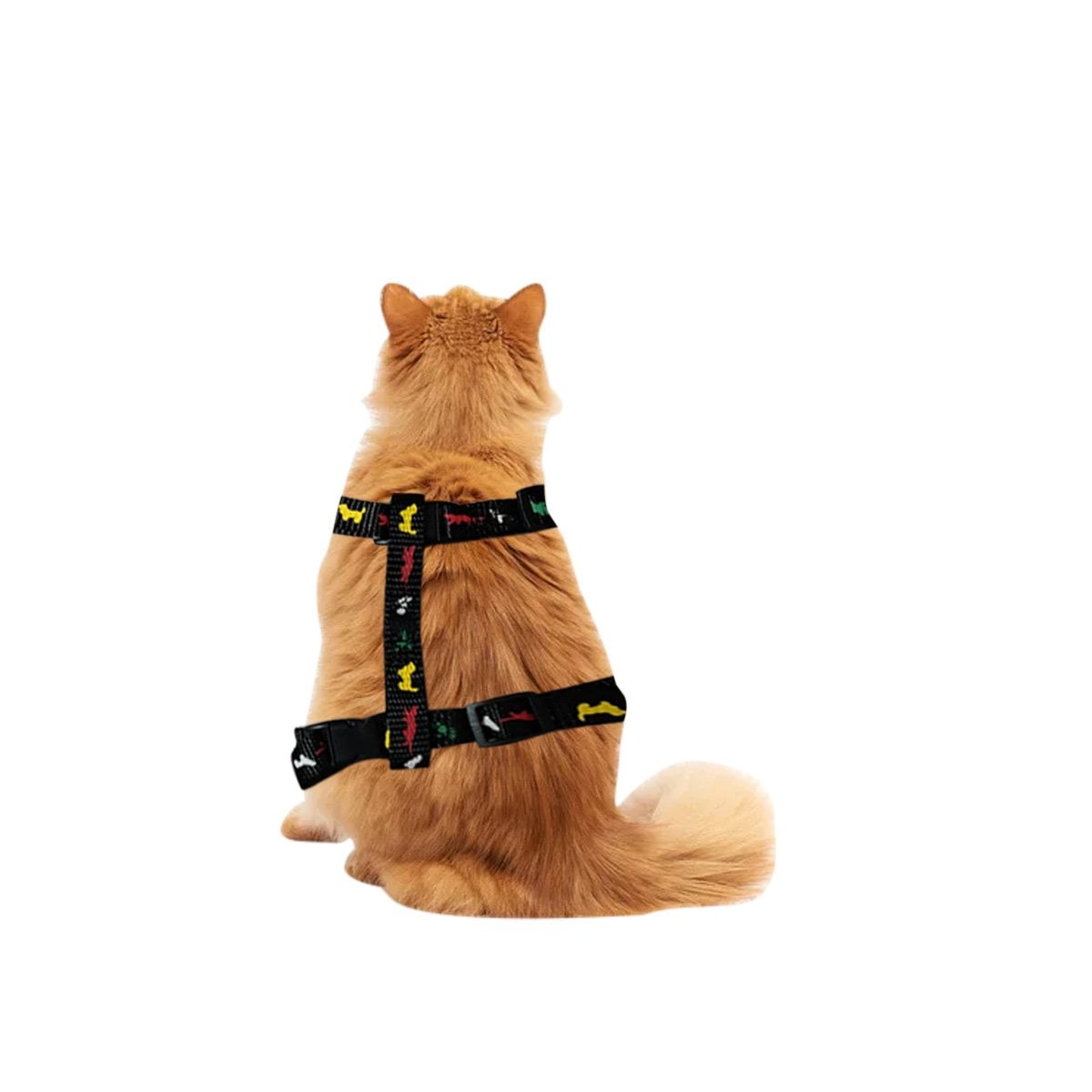 SISTEMA DE SUJECION PARA CONEJO Y GATO DELGADO NEGRO AJUSTABLE CON CONTROL FIRME YLIGAS REGALO - 5
