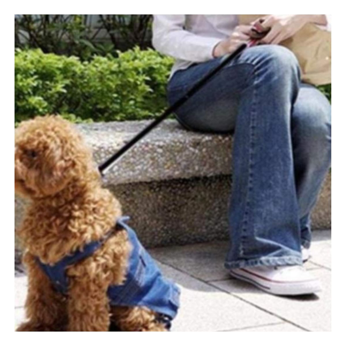 PACK2 SOGA RETRACTIL 3M PARA PERRO CON DISENO HUELLITA ROSADO - 5