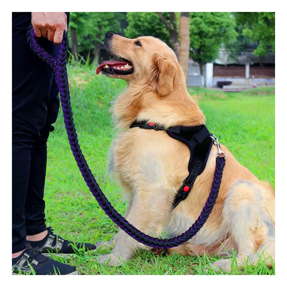 CHALECO EN H DE CONTROL PARA PERRO TALLA S CON AJUSTE SEGURO Y FIRME NEGRO YPAPEL REGALO - 1