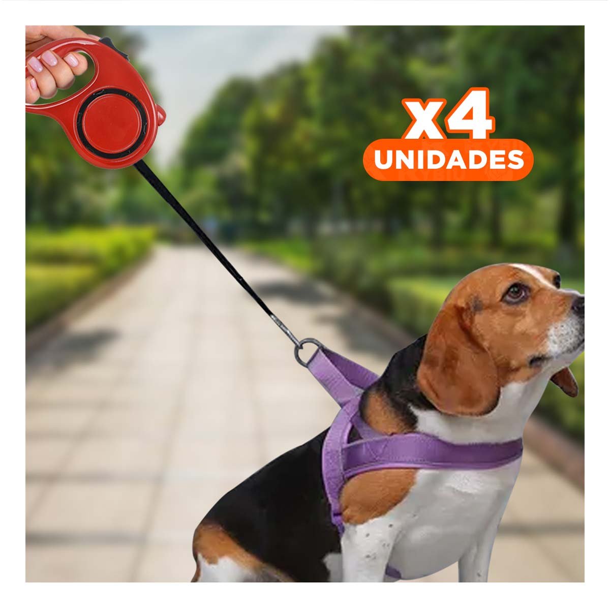 PACK4 CUERDA RETRACTIL CONFIABLE PARA PASEOS DIARIOS CON MASCOTAS COLOR ROJO YREGALO STICKER - 1