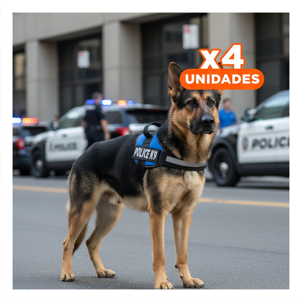 PACK4 SOPORTE CORPORAL PARA PERRO TALLA M CON AJUSTE PRACTICO CELESTE YREGALO STICKER - 1