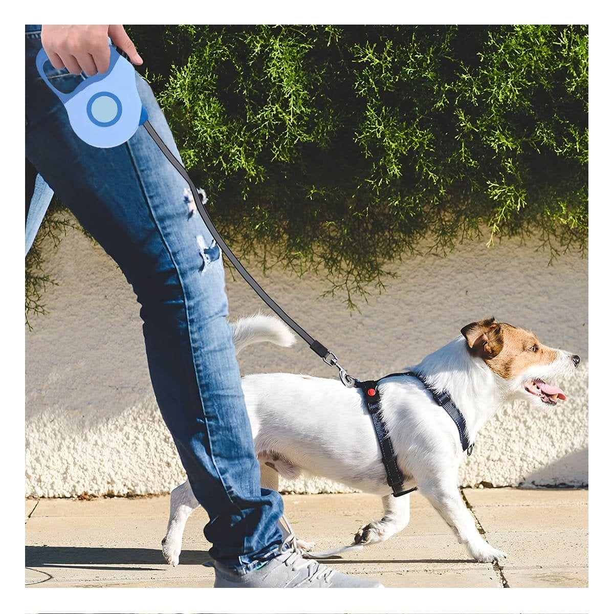 CORREA RETRACTIL 3M PARA PERRO CON DISENO DOBLE TONO AZUL - 5