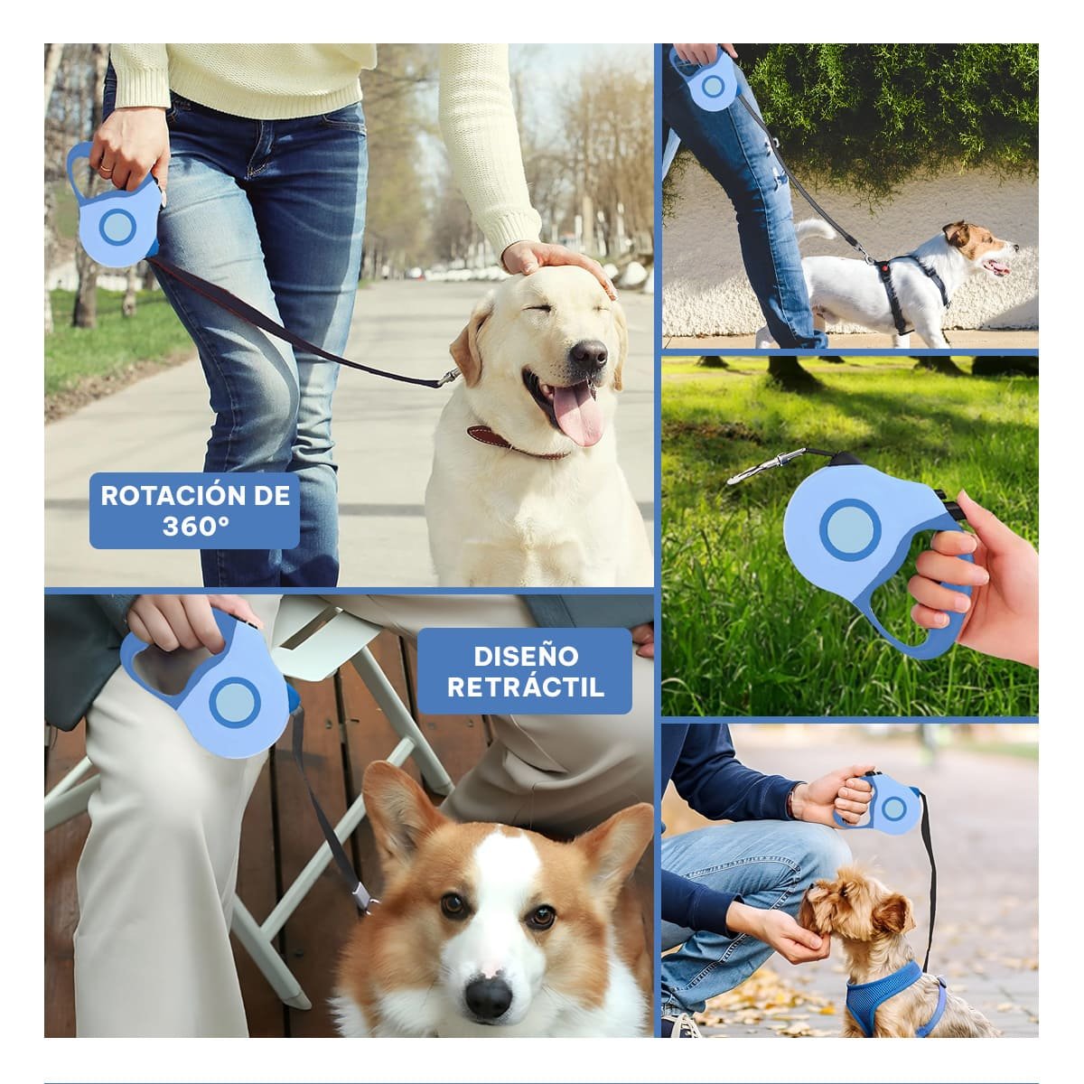 SUJETADOR RETRACTIL 3M PARA MASCOTA CON DISENO DOBLE TONO AZUL PRACTICO YLIGAS REGALO - 1