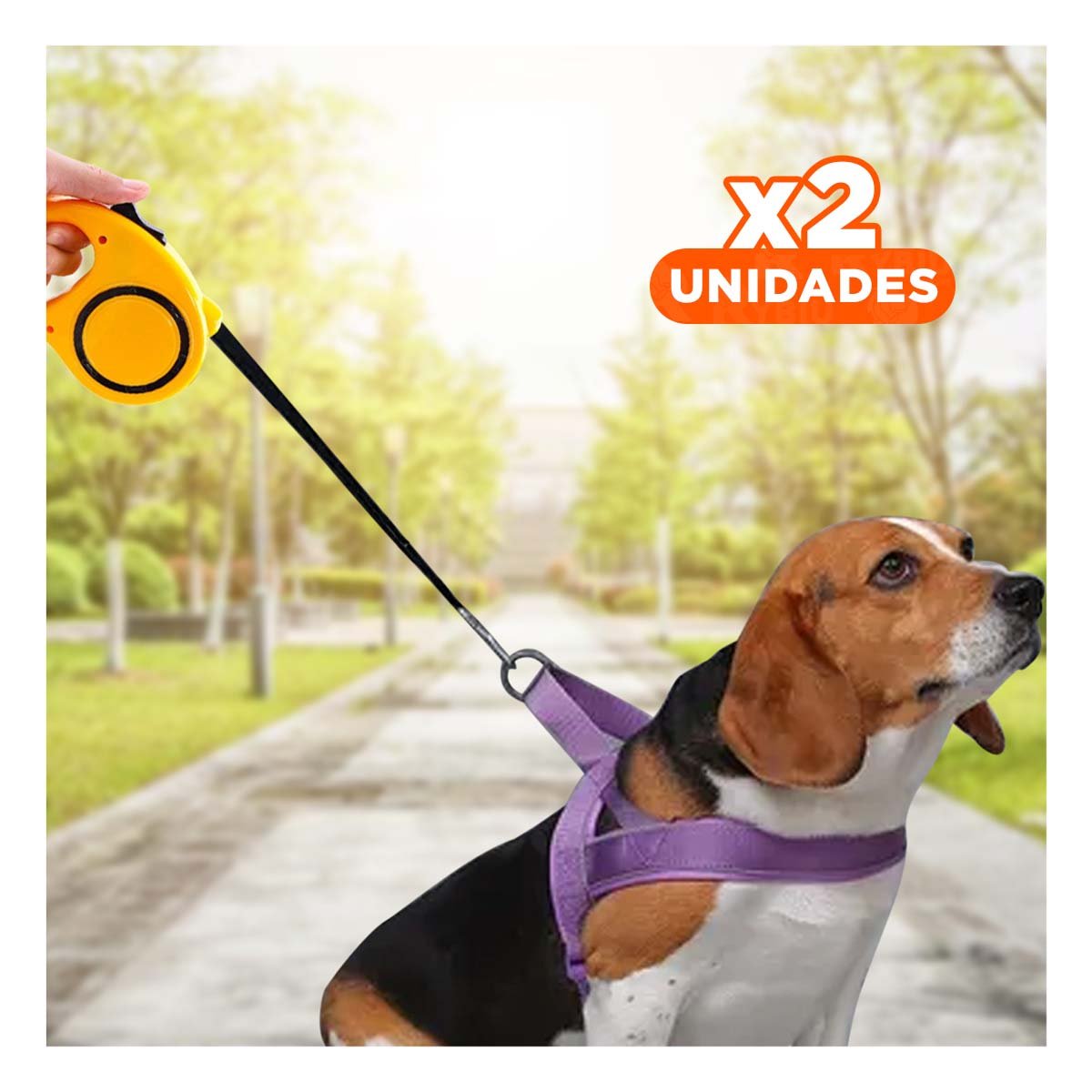 PACK2 CORDON AJUSTABLE PARA MASCOTAS RESISTENTE Y CONFIABLE PARA PASEOS COLOR AMARILLO - 1