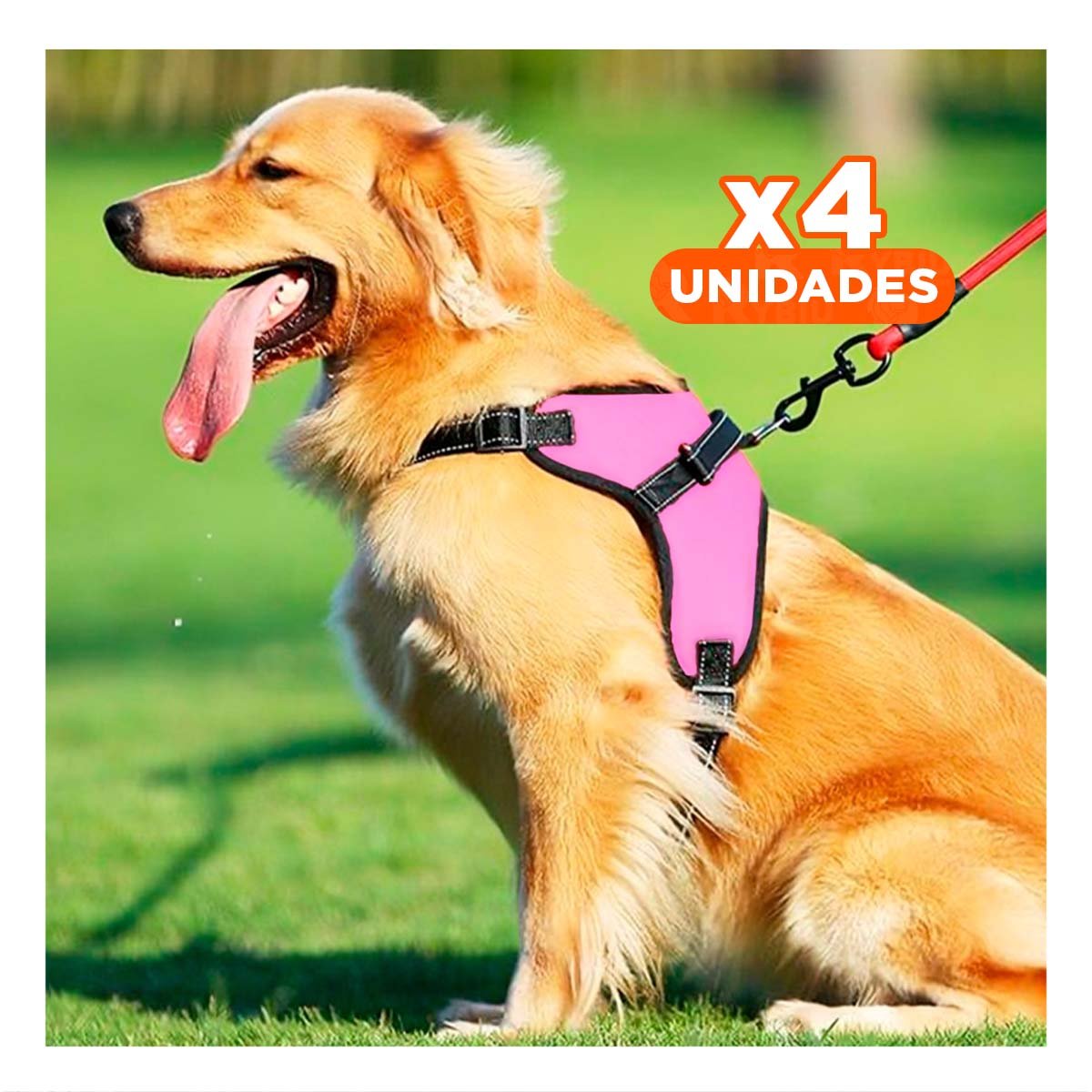 PACK4 PRENDA EN H DE PASEO PARA PERRO TALLA S CON ESTILO MODERNO ROSADO YPAPEL REGALO - 1