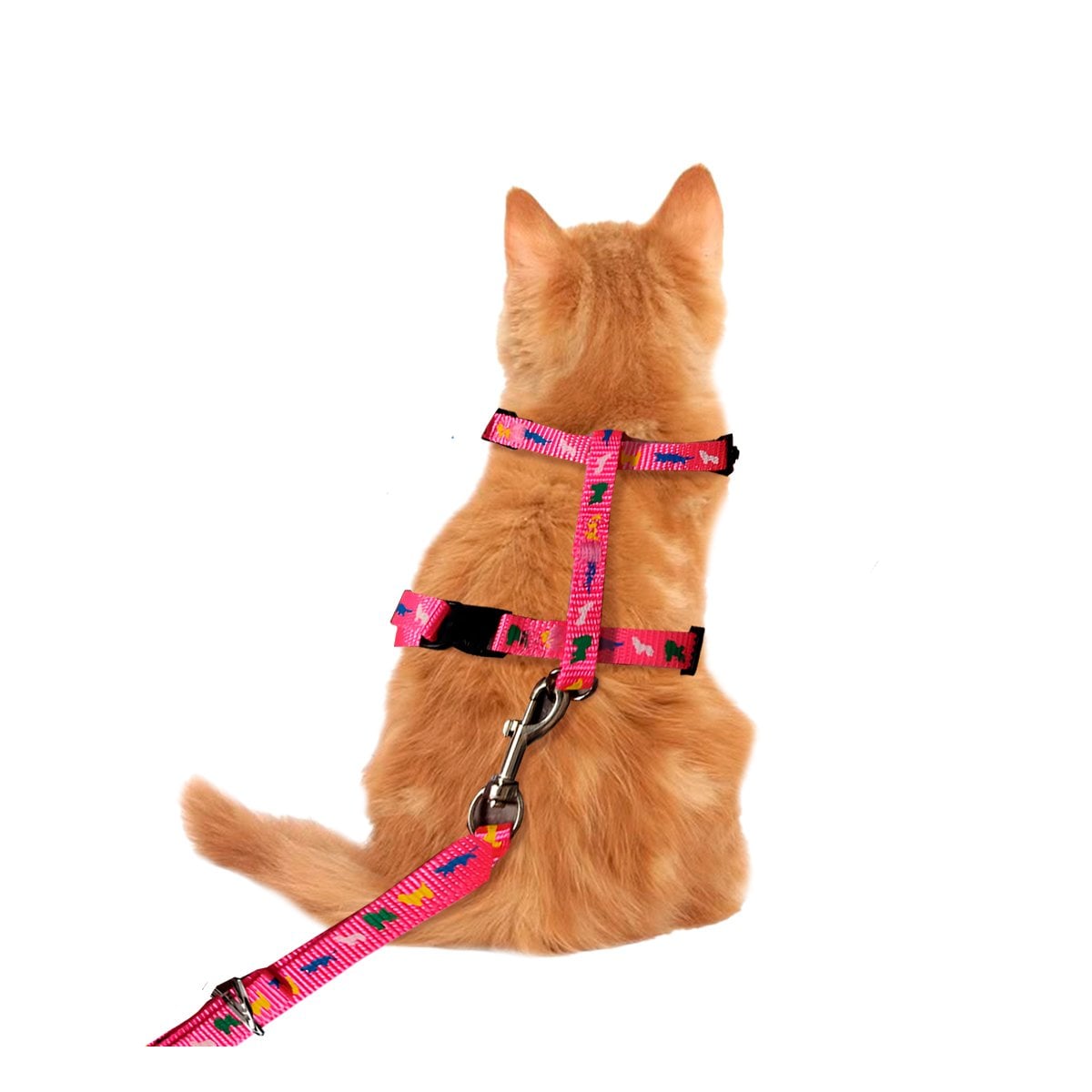PACK4 IMPLEMENTO AJUSTABLE FUCSIA PARA MASCOTA DE MEDIDA REDUCIDA YPAPEL REGALO - 3