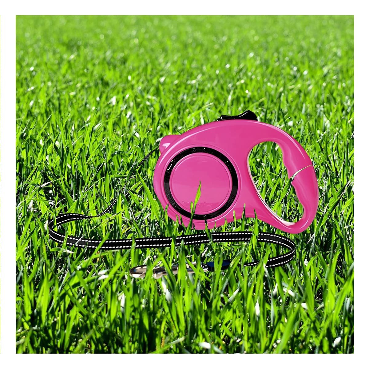 PACK2 DISPOSITIVO DE CUERDA RETRACTIL PARA PERROS FACIL DE MANEJAR FUCSIA YPAPEL REGALO - 2