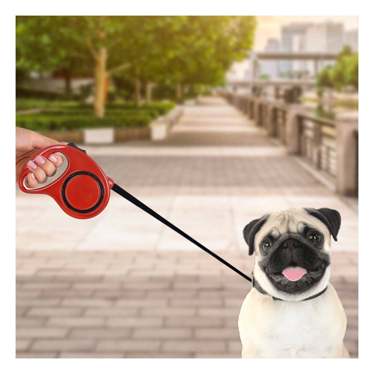 PACK2 CORDON AJUSTABLE PARA MASCOTAS RESISTENTE Y CONFIABLE DURANTE CAMINATAS ROJO - 5