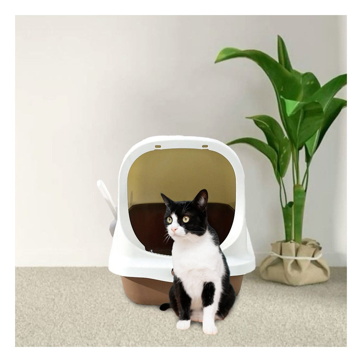 SANITARIO CERRADO CON PALA PARA GATO MARRON CON ENTRADA FRONTAL Y FACIL ACCESO YLIGAS REGALO - 3
