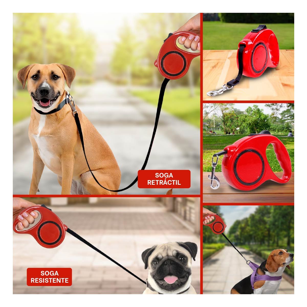 LAZO RETRACTIL FUNCIONAL Y SEGURO PARA MASCOTAS CON CIRCULO NEGRO ROJO YLIGAS REGALO - 1