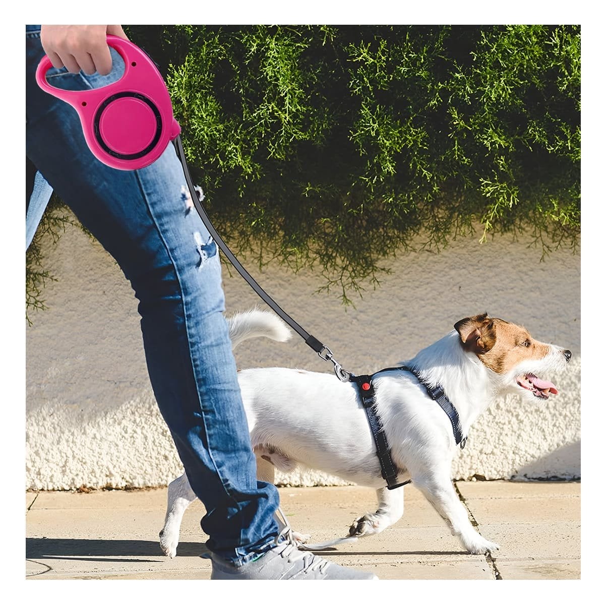 PACK2 CORDON AJUSTABLE PARA MASCOTAS RESISTENTE Y CONFIABLE DURANTE CAMINATAS FUCSIA - 2