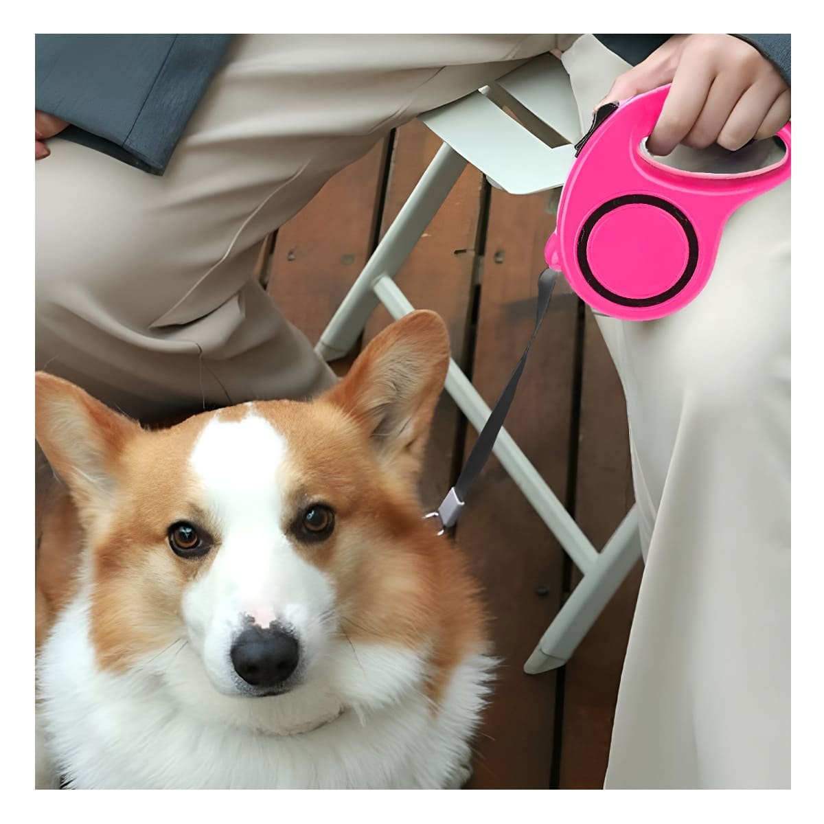 PACK2 CORDON AJUSTABLE PARA MASCOTAS RESISTENTE Y CONFIABLE DURANTE CAMINATAS FUCSIA - 5