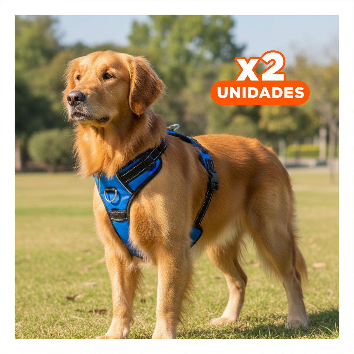 PACK2 PECHERA RESISTENTE EN H PARA MASCOTA TALLA S CON AJUSTE FIRME AZUL YPAPEL REGALO - 1