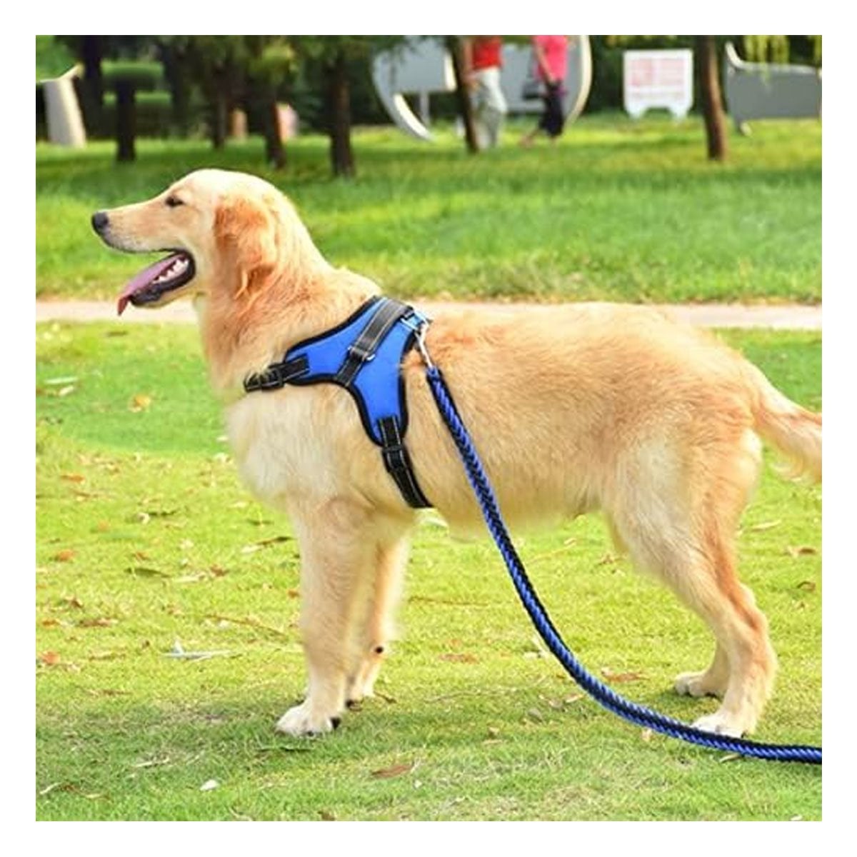 EQUIPO EN H DE PASEO PARA PERRO TALLA S COMODO Y RESISTENTE AZUL YSTICKY - 1