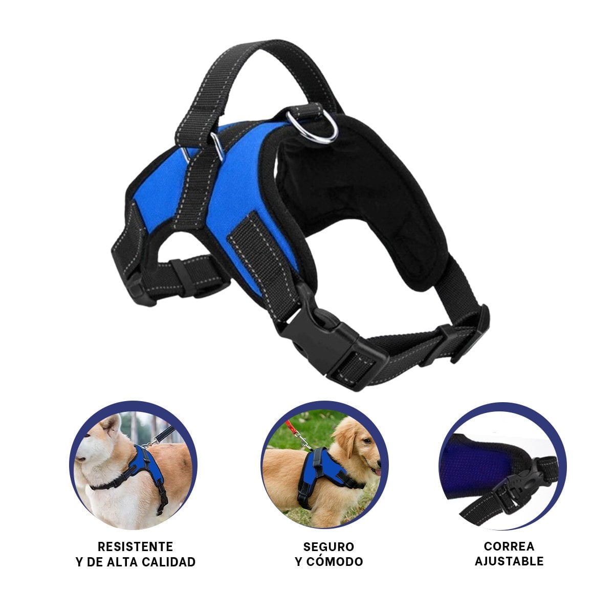 EQUIPO EN H DE PASEO PARA PERRO TALLA S COMODO Y RESISTENTE AZUL YSTICKY - 5