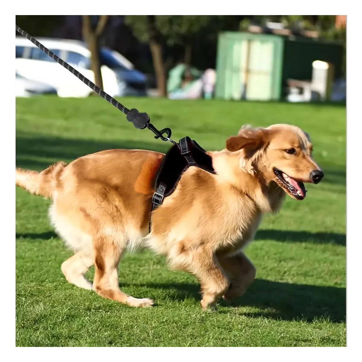 ARNES EN H PARA PERRO TALLA S CON SOPORTE FIRME Y COMODIDAD EN PASEOS NEGRO YREGALO STICKER - 3