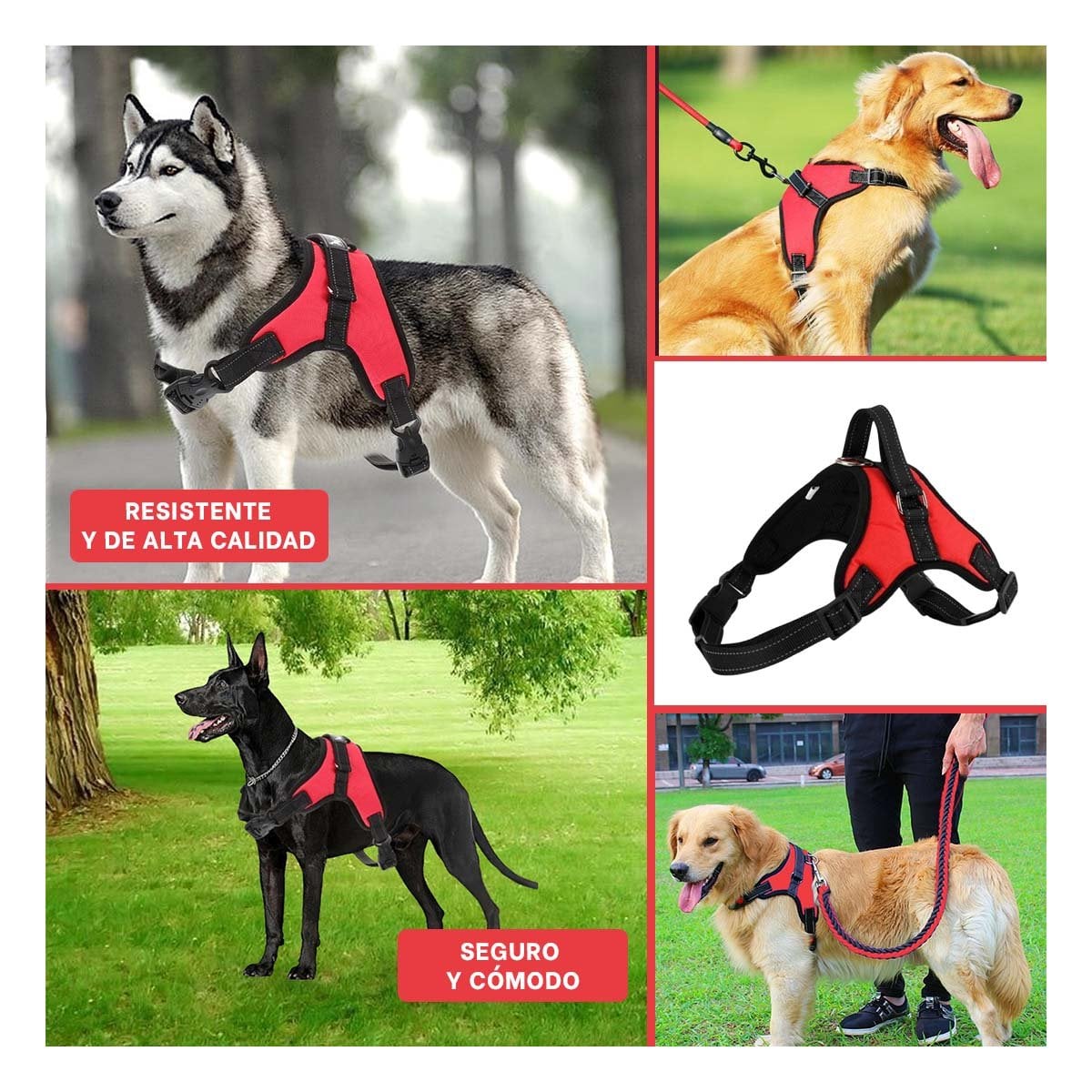 SUJETADOR EN H PARA MASCOTA TALLA S CON AJUSTE PRACTICO Y SEGURO ROJO YLIGAS REGALO - 1