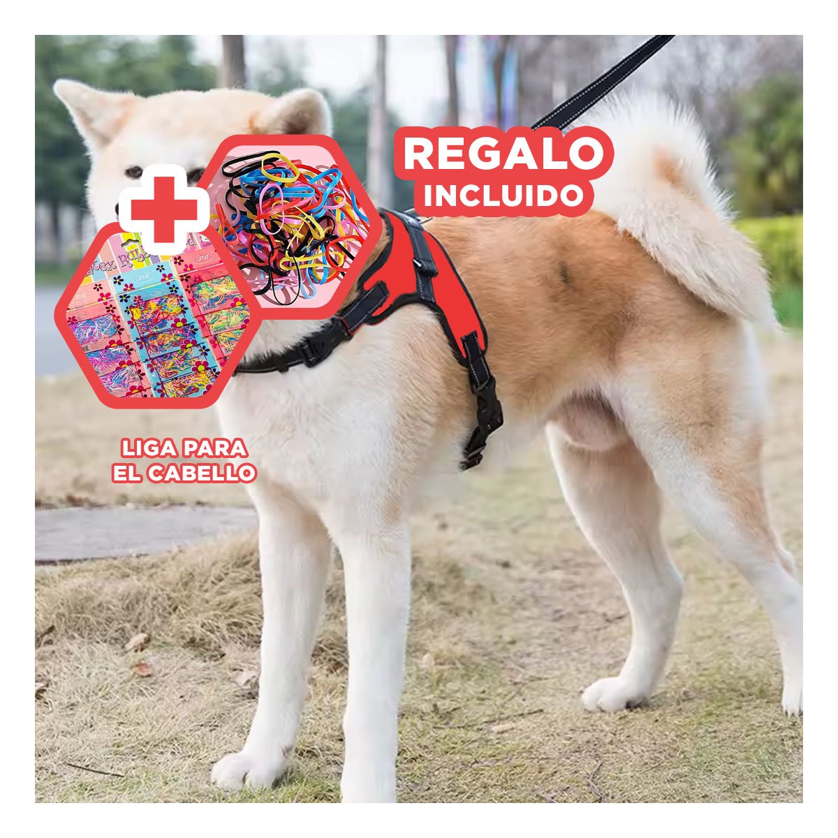 SUJETADOR EN H PARA MASCOTA TALLA S CON AJUSTE PRACTICO Y SEGURO ROJO YLIGAS REGALO - 2
