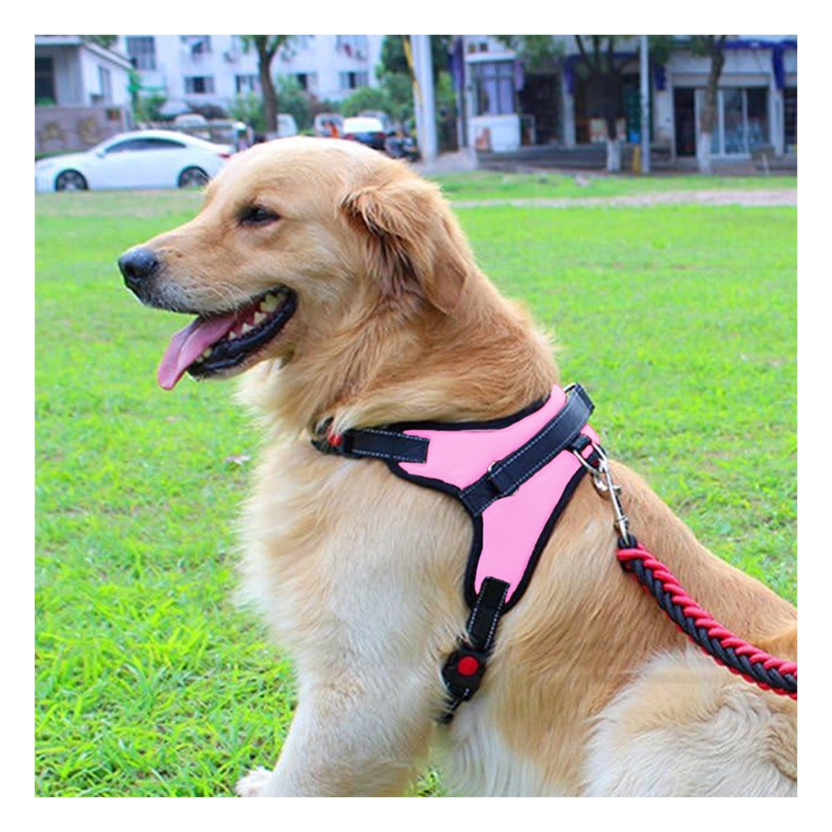 PACK2 CHALECO EN H DE PASEO PARA PERRO TALLA S LIGERO ROSADO YREGALO STICKER - 3