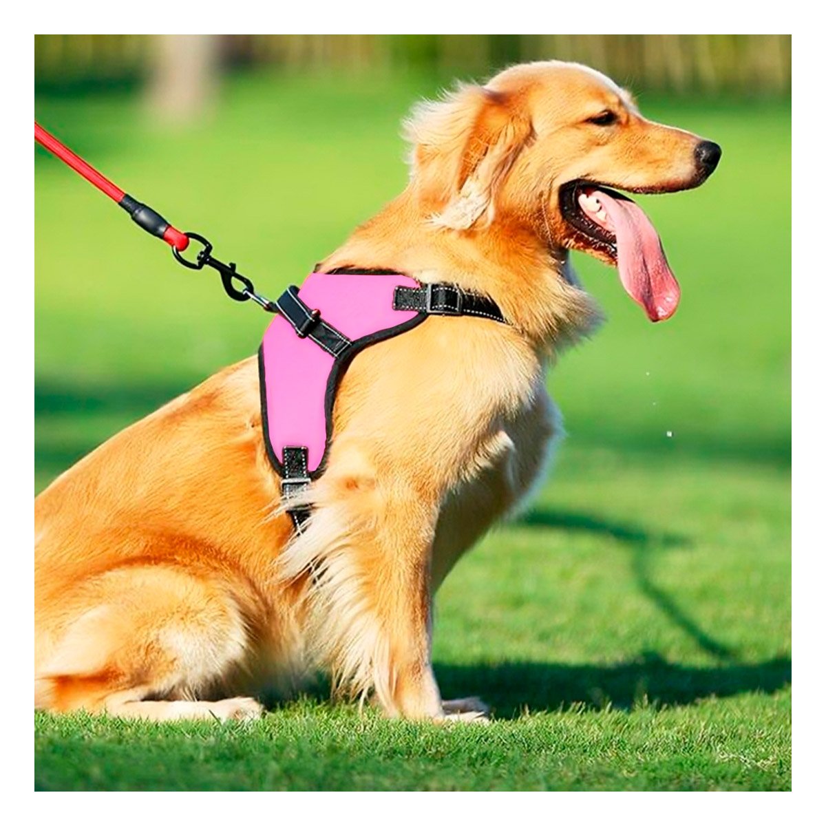 PACK2 CHALECO EN H DE PASEO PARA PERRO TALLA S LIGERO ROSADO YREGALO STICKER - 5