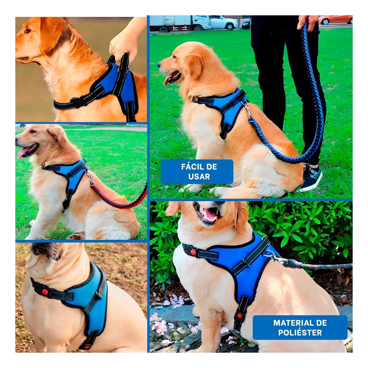 CHALECO EN H DE CONTROL PARA PERRO TALLA M CON AJUSTE SEGURO AZUL YPAPEL REGALO - 3