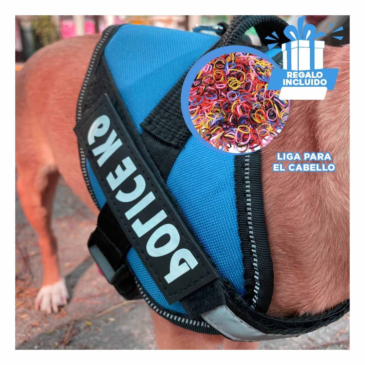 SUJETADOR CORPORAL PARA PERRO TALLA M CON AJUSTE PRACTICO Y SEGURO CELESTE YLIGAS REGALO - 2