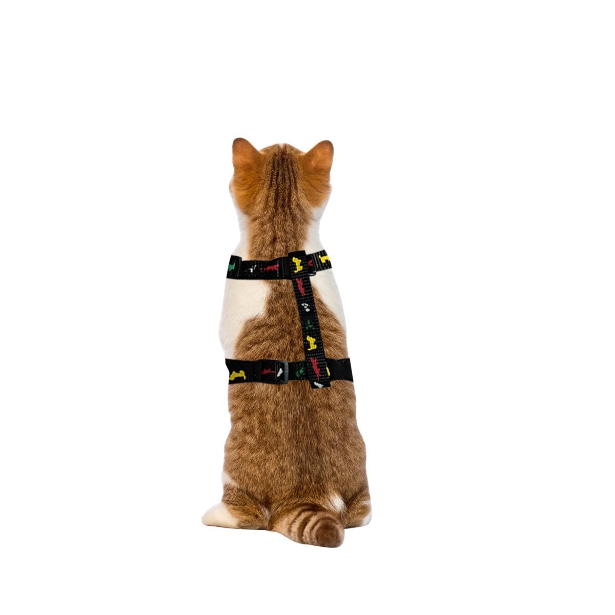 CORREA DE CUERPO PARA CONEJO Y GATO DELGADO NEGRO RESISTENTE PARA PASEO YREGALO STICKER - 1