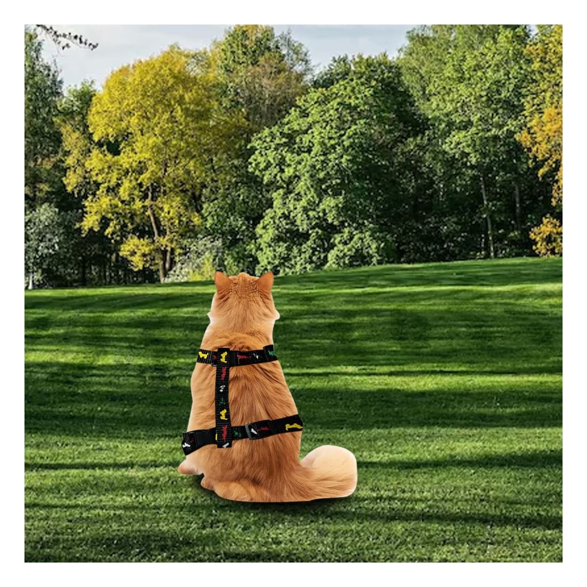 CORREA DE CUERPO PARA CONEJO Y GATO DELGADO NEGRO RESISTENTE PARA PASEO YREGALO STICKER - 2