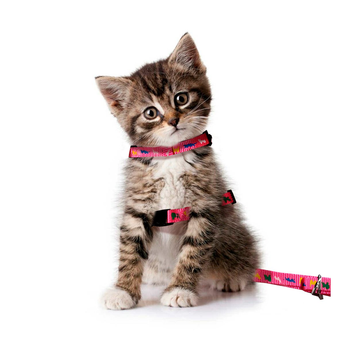 PACK2 CONJUNTO SEGURO FUCSIA PARA PASEO DE MASCOTA DE MEDIDA REDUCIDA YREGALO STICKER - 2